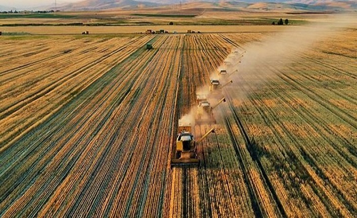 Tarımsal girdi enflasyonu yıllık yüzde 29,38 arttı