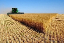 Tarım ÜFE ekimde aylık yüzde 1,68, yıllık yüzde 23,1 arttı