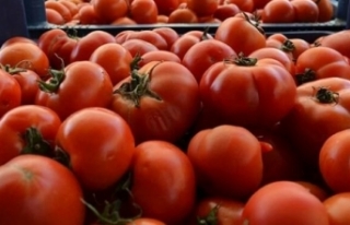 Rusya domates ve biber ithalatı kısıtlamasını...