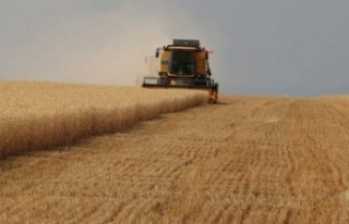 Tarım ÜFE’de yıllık artış yüzde 24,69