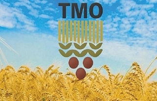 TMO, 210 bin ton buğday için teklif aldı