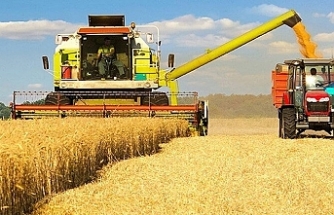 Buğday fiyatları, 5 ayın dibinden döndü
