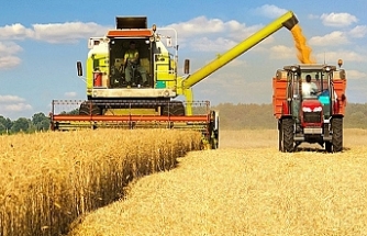 Buğday fiyatları, Odessa saldırısı nedeniyle yükseldi