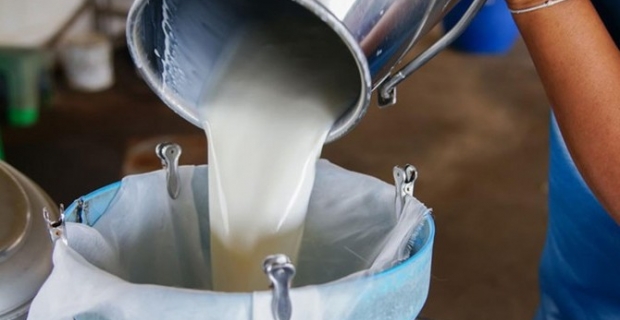 İstanbul'da günde 250 ton açık süt satılıyor
