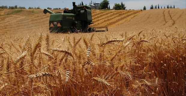 'Türkiye buğdayda kendine yetiyor'