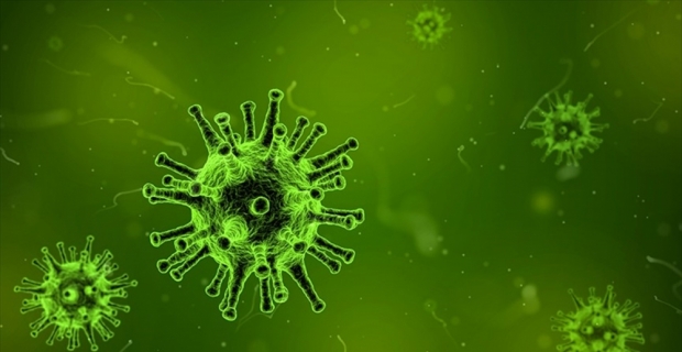 İnsüline benzer hormonlar üreten virüsler keşfedildi