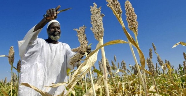 Türkiye ve Sudan'dan tarımsal alanda iş birliği