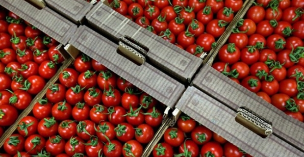 Rusya, Türk domatesine yönelik kısıtlamaları kaldırabilir