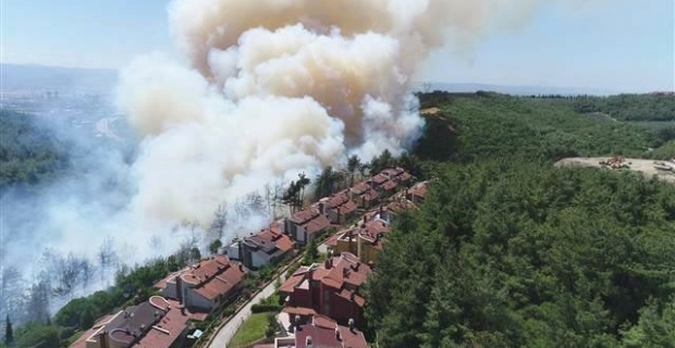 Bursa'da yangın: Yerleşim yerlerine doğru ilerliyor