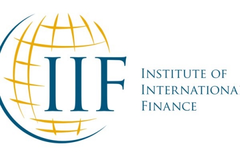 Uluslararası Finans Enstitüsü: TL adil değerinin altında