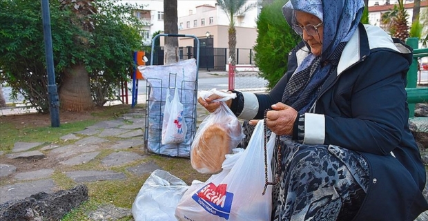 Sahipsiz hayvanları 30 yıldır besliyor