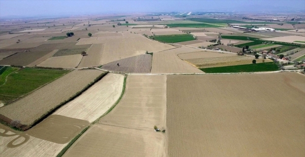 Ege'nin kullanılmayan arazileri tarıma kazandırılıyor
