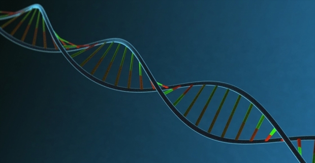 İnsan DNA'sının müziği notalara döküldü