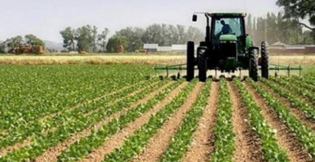 'Tarıma yönelik kredi paketiyle gıda enflasyonu dengelenir'