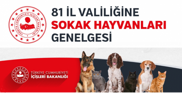 İçişleri Bakanlığı'ndan sokak hayvanları için genelge