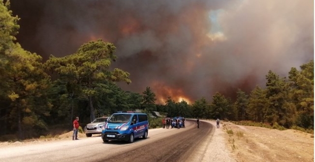 Orman yangınlarında son durum: Müdahale devam ediyor