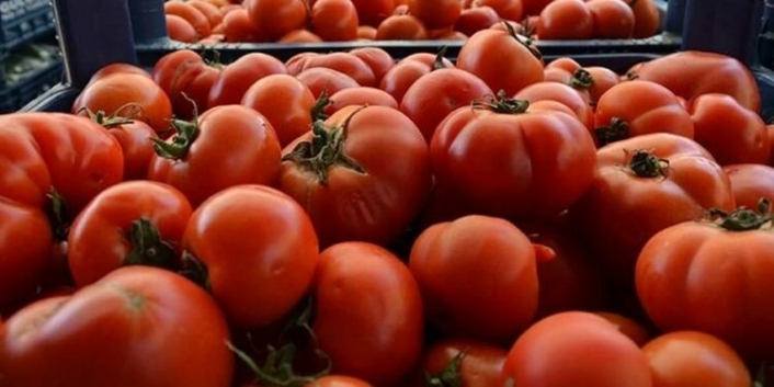Rusya domates ve biber ithalatı kısıtlamasını kaldırdı