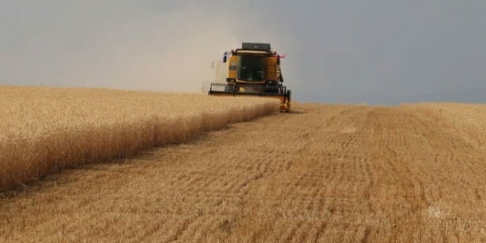 Tarım ÜFE’de yıllık artış yüzde 24,69