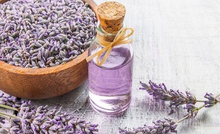 Tıbbi aromatik ve süs bitki yetiştiriciliğine Hazine desteği