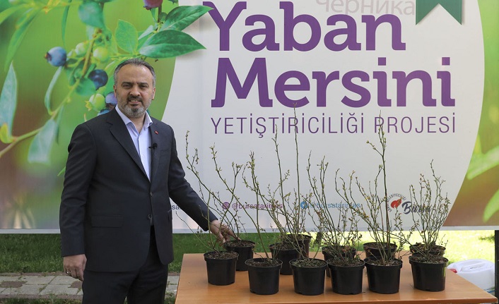 Bursa’nın yerel yönetimleri ‘organik gıda’ için harekete geçti
