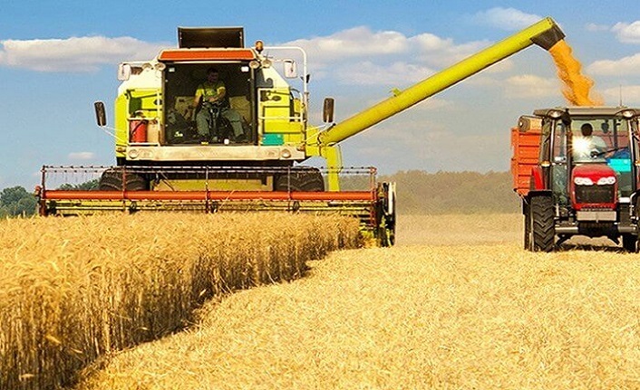Buğday fiyatları, 5 ayın dibinden döndü