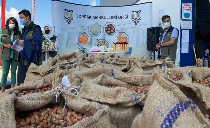 Toprak Mahsulleri Ofisi fındık alımına başladı