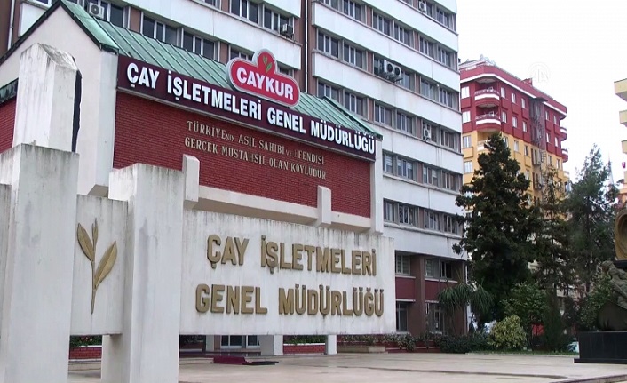 ÇAYKUR, üçüncü sürgün yaş çay alımlarına başladı