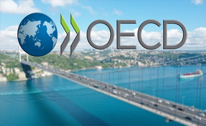 OECD, Türkiye'nin büyüme tahminini yükseltti