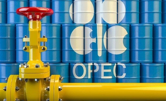 OPEC+ delegeleri Şubat üretim tahminini açıkladı