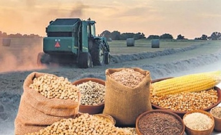 Tarım Ürünleri Üretici Fiyat Endeksi açıklandı