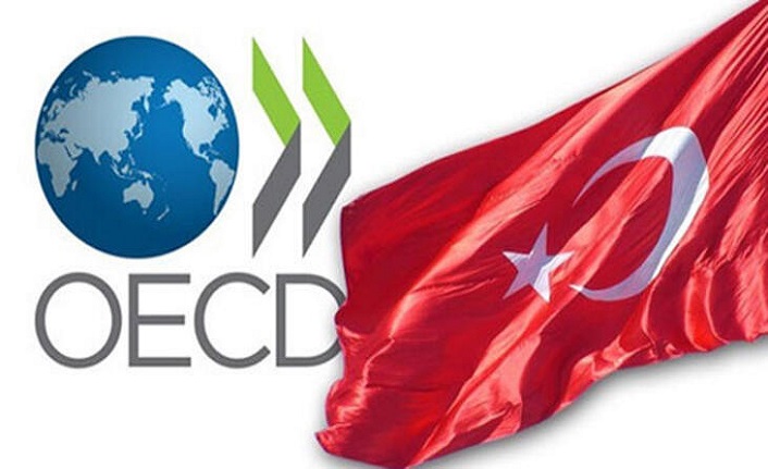 Türkiye, OECD'nin en yüksek oranda büyüyen ikinci ülkesi