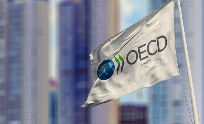 OECD'den Türkiye tahmini