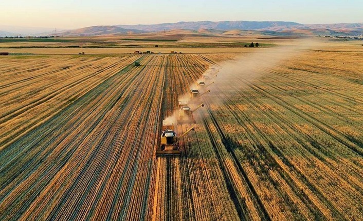 Tarlası ve arsası olanlar dikkat! Hükümet harekete geçti: Boş bırakmak yok