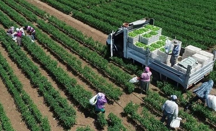 Tarım ve Orman Bakanlığından 33 soruda planlı üretim rehberi
