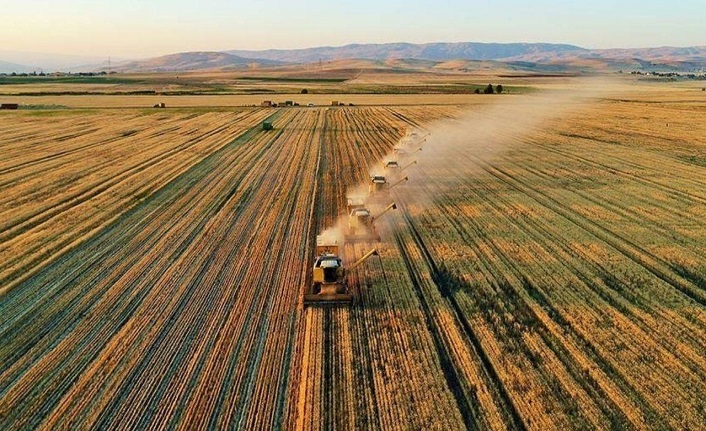 TZOB Başkanı Bayraktar’dan kuraklık uyarısı: Hububat ekimleri yapılamıyor