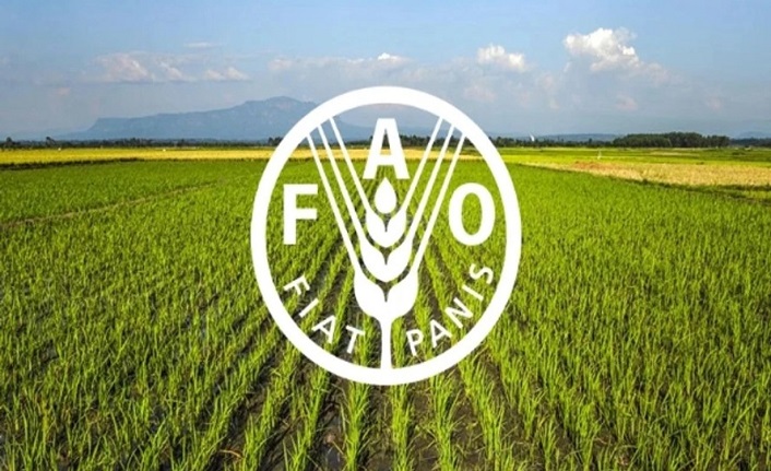 Türkiye, FAO konsey üyeliğine seçildi