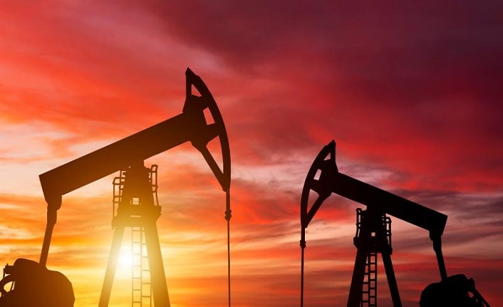 Petrol ve doğal gazda yerli üretim hız kesmeden sürüyor