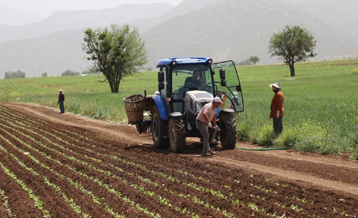 Çiftçilere sağlanacak desteklere ilişkin usul ve esaslar yeniden belirlendi