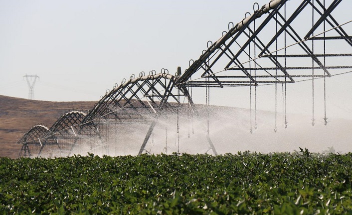DAP Bölge Kalınma İdaresi 12 yılda 2 bin 86 projeye destek verdi