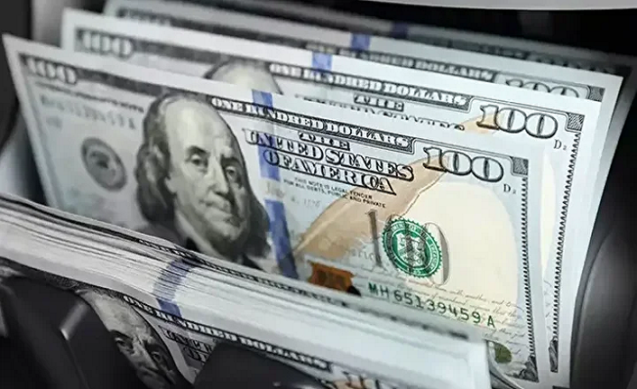 Dev banka 2026 Türkiye öngörülerini duyurdu: Dolar/TL tahminleri belli oldu