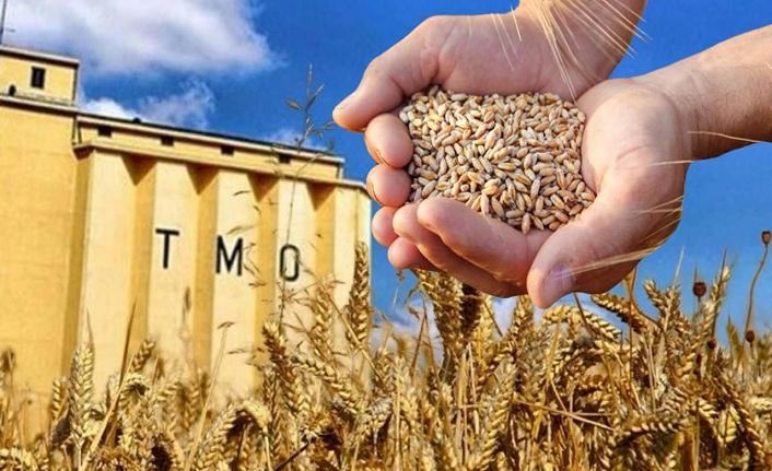 Buğdayda yeni dönem: TMO stokları günlük satışa açılıyor