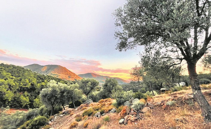 İklim alarm veriyor: İki derecelik artış, Türkiye'de hangi bölgeleri daha sert vuracak?