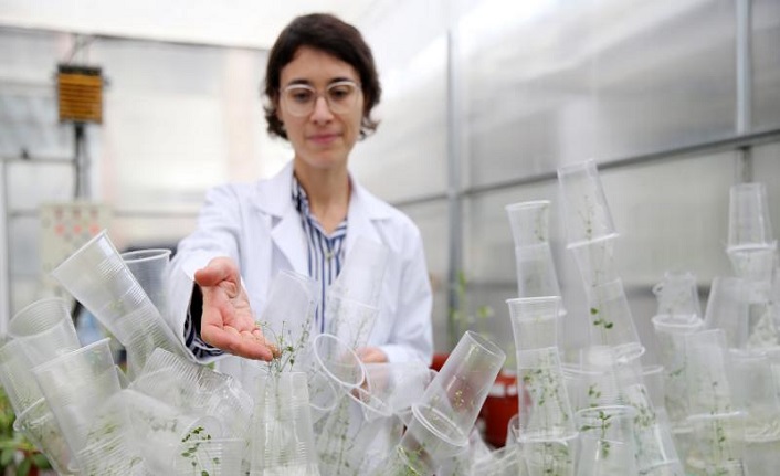 Türk bilim kadını deneyleriyle uzay biyolojisine katkı sunuyor
