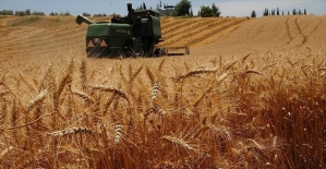 'Türkiye buğdayda kendine yetiyor'