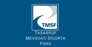 TMSF'ye geçen 'sorunlu şirketler' satılacak