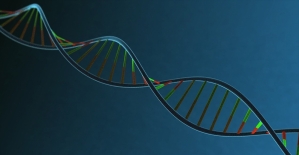 İnsan DNA'sının müziği notalara döküldü