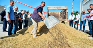 Mardin'de sezonun ilk arpa hasadı yapıldı