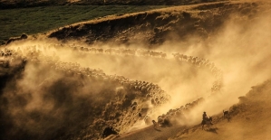 Sürülerin, Nemrut Dağı'na tozlu yolculuğu