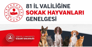 İçişleri Bakanlığı'ndan sokak hayvanları için genelge