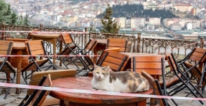 Restoranlar ve kafelerde iflas oranı yüzde 25’e dayandı